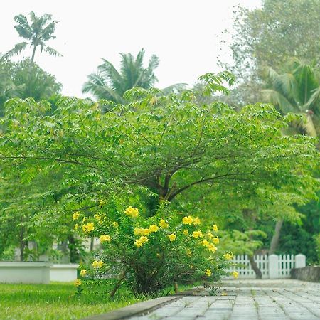 Muziris Harbour View Hotel Kochi Luaran gambar