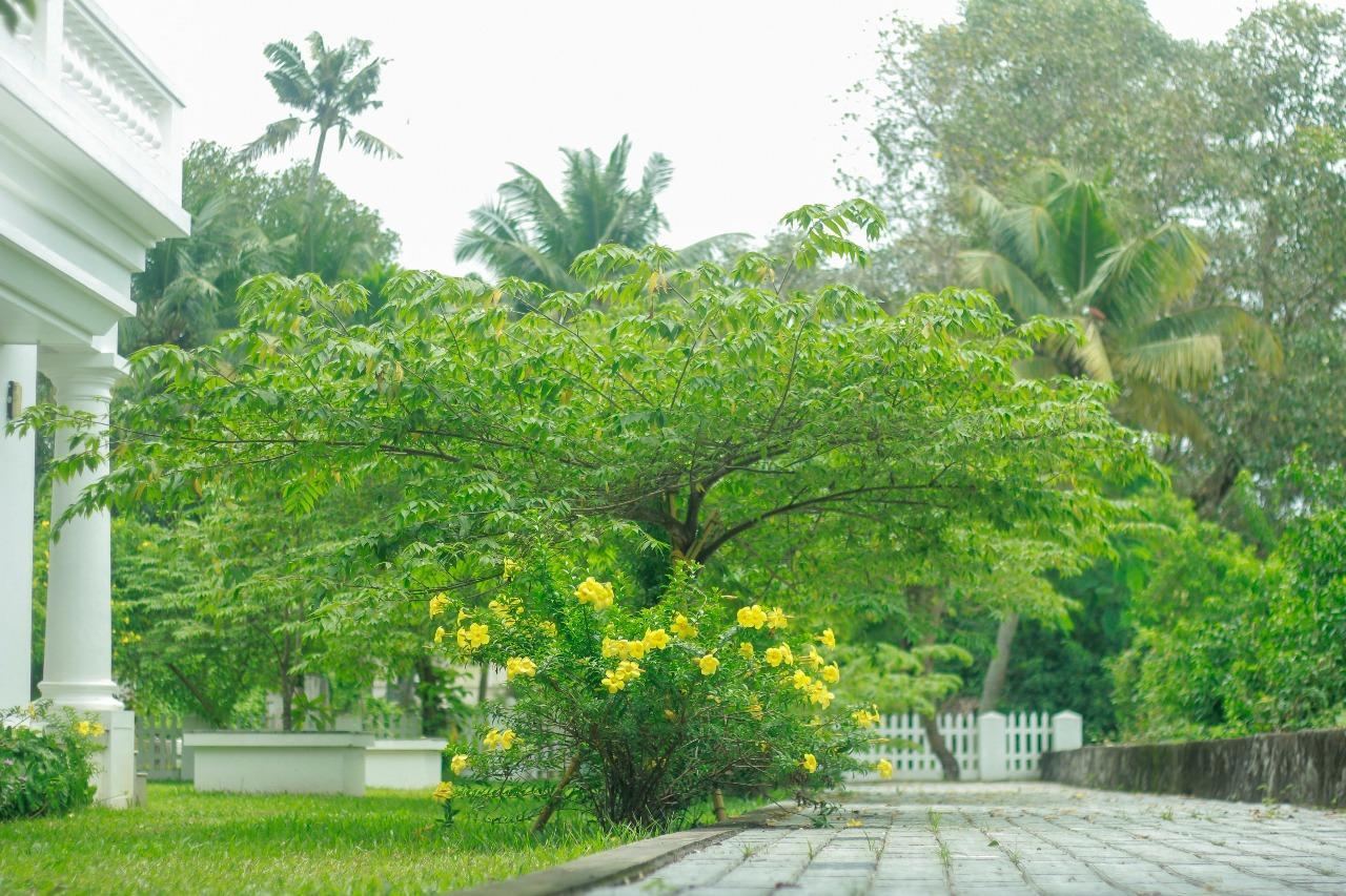 Muziris Harbour View Hotel Kochi Luaran gambar